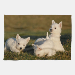 Niedliche Kleintiere West Highland White Terrier Geschirrtuch