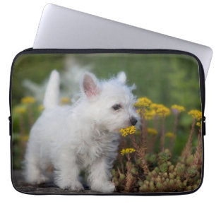Niedliche Kleintiere West Highland White Terrier Laptopschutzhülle