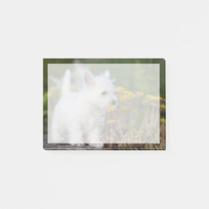 Niedliche Kleintiere   West Highland White Terrier Post-it Klebezettel