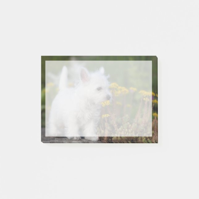 Niedliche Kleintiere | West Highland White Terrier Post-it Klebezettel (Vorderseite)
