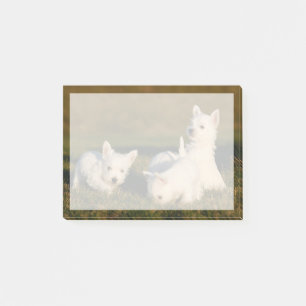 Niedliche Kleintiere   West Highland White Terrier Post-it Klebezettel