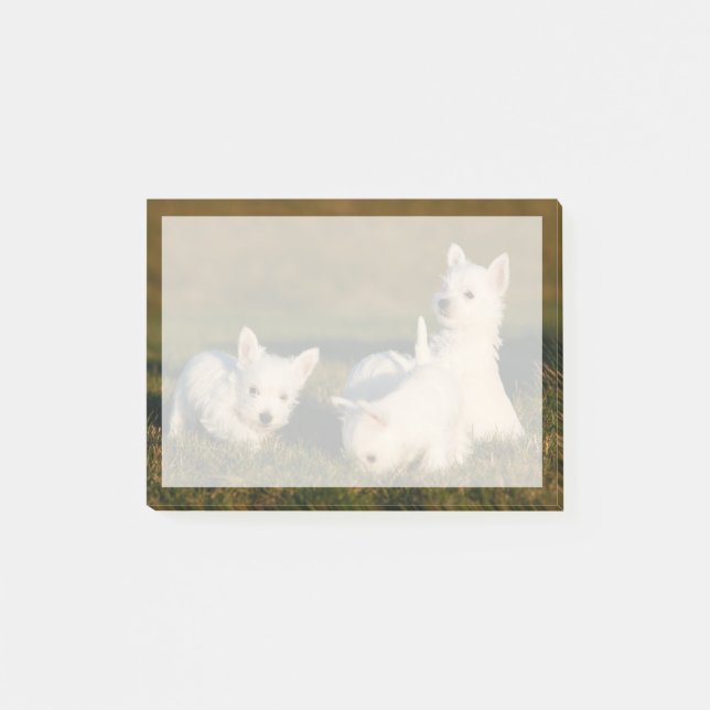Niedliche Kleintiere | West Highland White Terrier Post-it Klebezettel (Vorderseite)