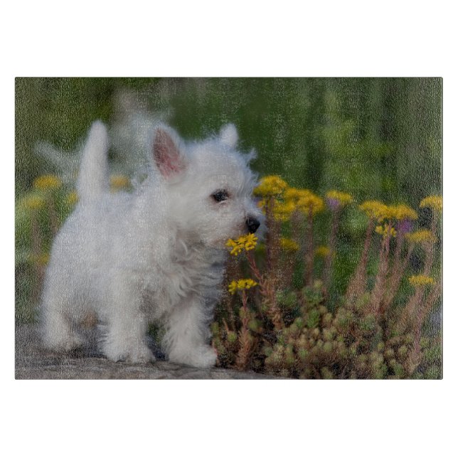 Niedliche Kleintiere | West Highland White Terrier Schneidebrett (Vorderseite)