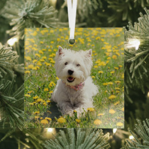 Niedliche Kleintiere Westie Hund in Lüstern Ornament Aus Glas