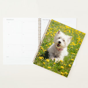 Niedliche Kleintiere Westie Hund in Lüstern Planer