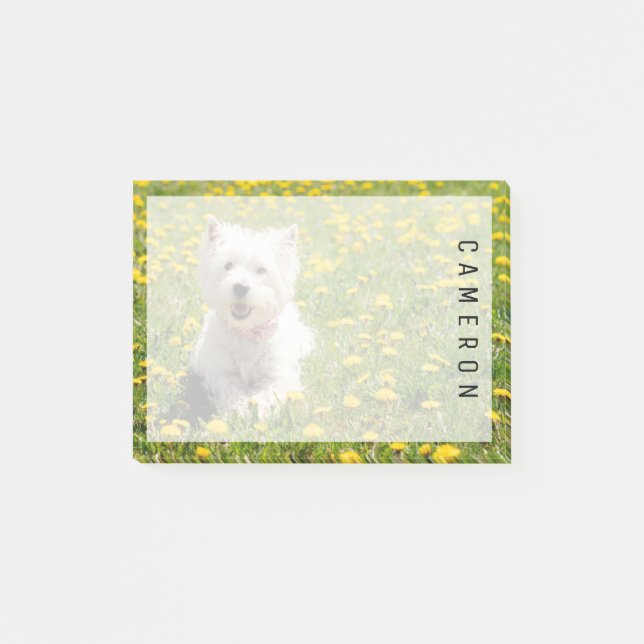 Niedliche Kleintiere | Westie Hund in Lüstern Post-it Klebezettel (Vorderseite)