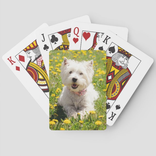 Niedliche Kleintiere | Westie Hund in Lüstern Spielkarten (Rückseite)