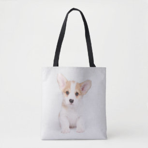 Niedliche Kleintiere White Corgi Puppy