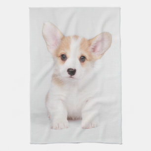 Niedliche Kleintiere   White Corgi Puppy Geschirrtuch
