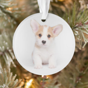 Niedliche Kleintiere White Corgi Puppy Ornament