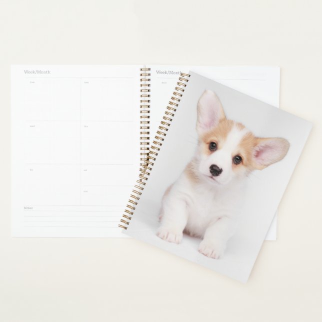 Niedliche Kleintiere | White Corgi Puppy Planer (Anzeige)