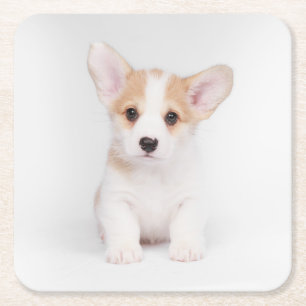 Niedliche Kleintiere White Corgi Puppy Rechteckiger Pappuntersetzer