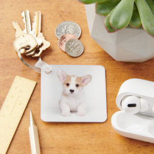 Niedliche Kleintiere   White Corgi Puppy Schlüsselanhänger