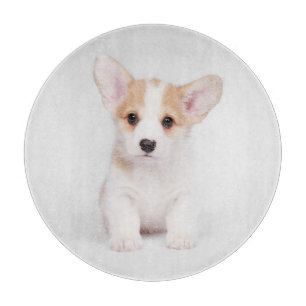 Niedliche Kleintiere   White Corgi Puppy Schneidebrett