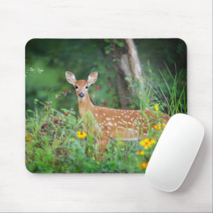 Niedliche Kleintiere White Tails Deer in Daisies Mousepad
