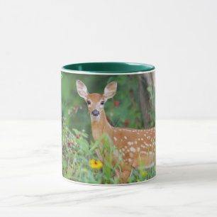 Niedliche Kleintiere   White Tails Deer in Daisies Tasse