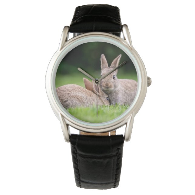 Niedliche Kleintiere | Wilde Bunny Rabbits Armbanduhr (Vorderseite)