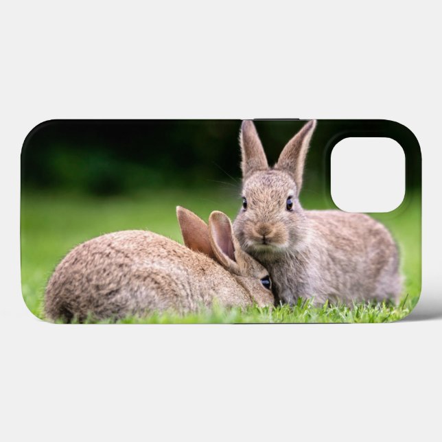 Niedliche Kleintiere | Wilde Bunny Rabbits Case-Mate iPhone Hülle (Rückseite (Horizontal))