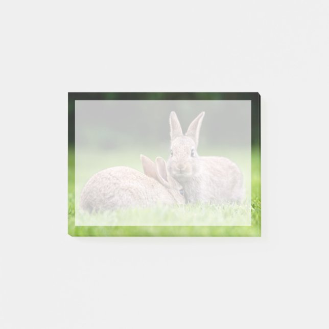 Niedliche Kleintiere | Wilde Bunny Rabbits Post-it Klebezettel (Vorderseite)