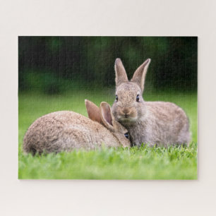 Niedliche Kleintiere   Wilde Bunny Rabbits Puzzle