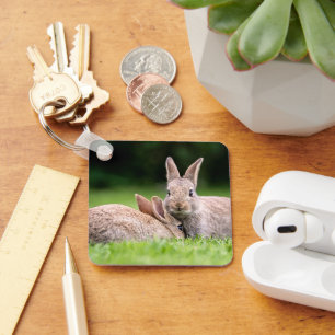 Niedliche Kleintiere   Wilde Bunny Rabbits Schlüsselanhänger