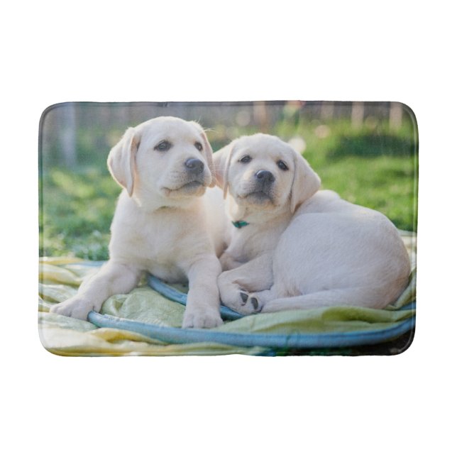 Niedliche Kleintiere | Yellow Labrador Retrievers Badematte (Vorderseite)