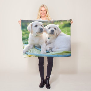 Niedliche Kleintiere   Yellow Labrador Retrievers Fleecedecke
