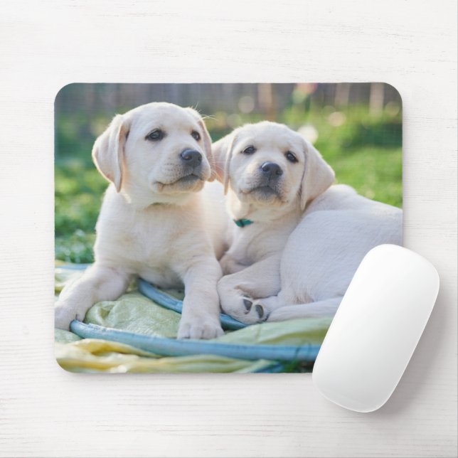 Niedliche Kleintiere | Yellow Labrador Retrievers Mousepad (Mit Mouse)