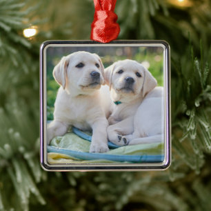 Niedliche Kleintiere Yellow Labrador Retrievers Ornament Aus Metall