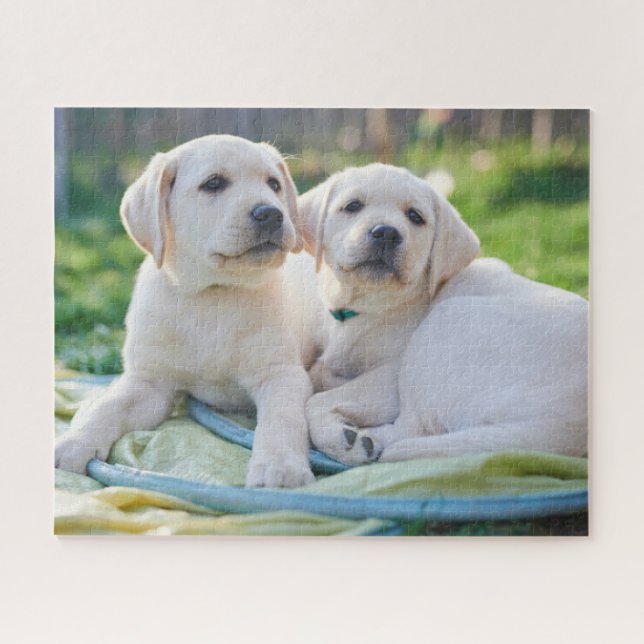 Niedliche Kleintiere | Yellow Labrador Retrievers Puzzle (Horizontal)