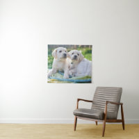 Niedliche Kleintiere | Yellow Labrador Retrievers