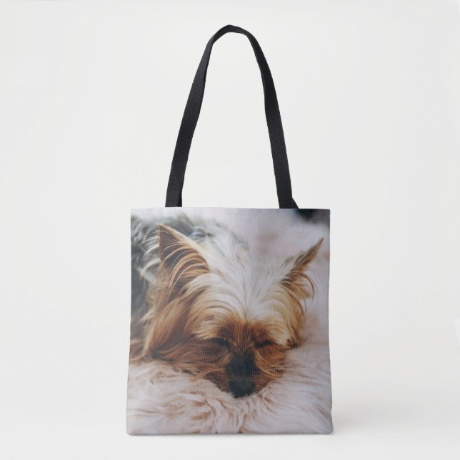Niedliche Kleintiere | Yorkshire Terrier (Vorderseite)