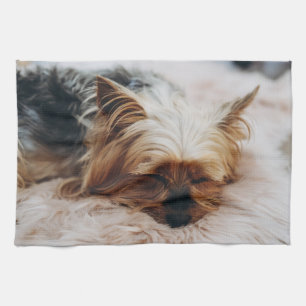 Niedliche Kleintiere   Yorkshire Terrier Geschirrtuch