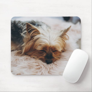 Niedliche Kleintiere Yorkshire Terrier Mousepad