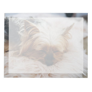 Niedliche Kleintiere Yorkshire Terrier Notizblock