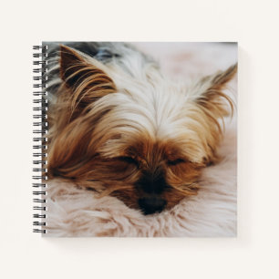 Niedliche Kleintiere Yorkshire Terrier Notizbuch