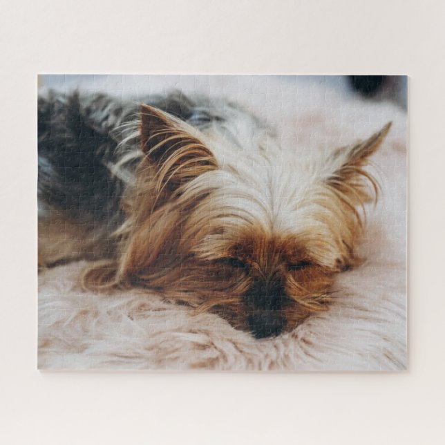 Niedliche Kleintiere | Yorkshire Terrier Puzzle (Horizontal)