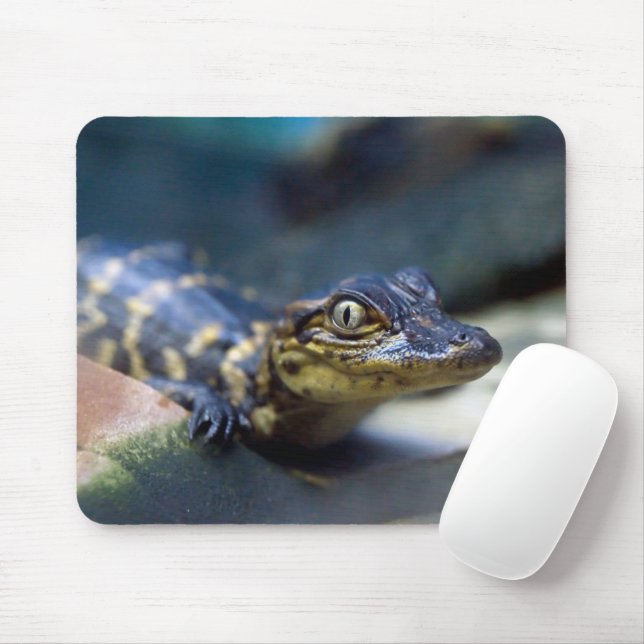 Niedliche Kleintiere | Young Alligator Mousepad (Mit Mouse)