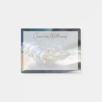 Niedliche Kleintiere | Young Alligator