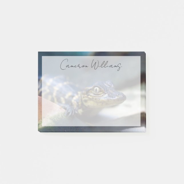 Niedliche Kleintiere | Young Alligator Post-it Klebezettel (Vorderseite)