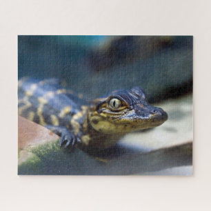 Niedliche Kleintiere   Young Alligator Puzzle
