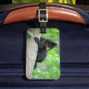 Niedliche Kleintiere   Young Black Bar Cub Gepäckanhänger