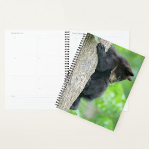 Niedliche Kleintiere Young Black Bar Cub Planer