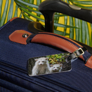 Niedliche Kleintiere Young Blonde Raccoons Gepäckanhänger