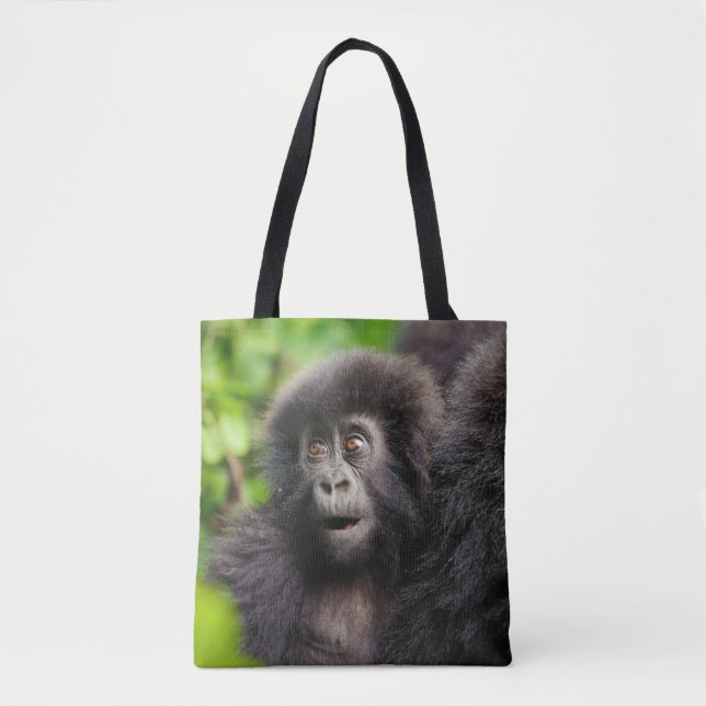 Niedliche Kleintiere | Young Mountain Gorilla (Vorderseite)