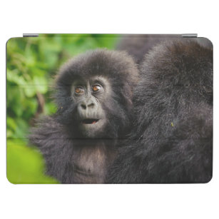 Niedliche Kleintiere   Young Mountain Gorilla iPad Air Hülle