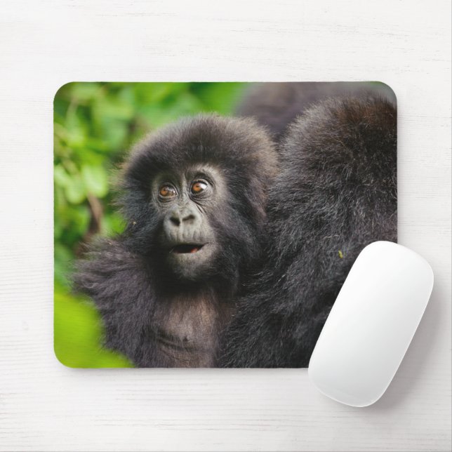 Niedliche Kleintiere | Young Mountain Gorilla Mousepad (Mit Mouse)