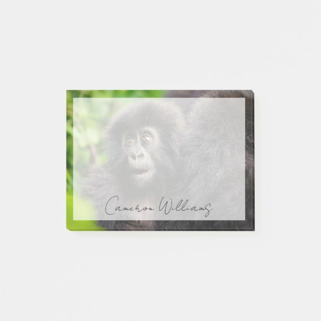 Niedliche Kleintiere | Young Mountain Gorilla Post-it Klebezettel (Vorderseite)