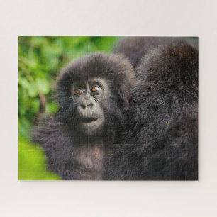 Niedliche Kleintiere   Young Mountain Gorilla Puzzle