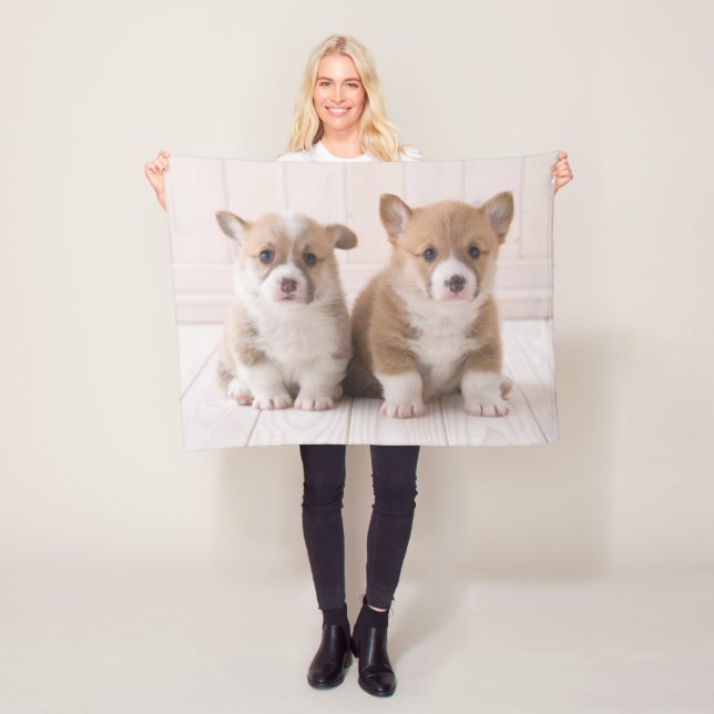 Niedliche Kleintiere | Zwei Baby Corgis sitzen Fleecedecke (Beispiel)